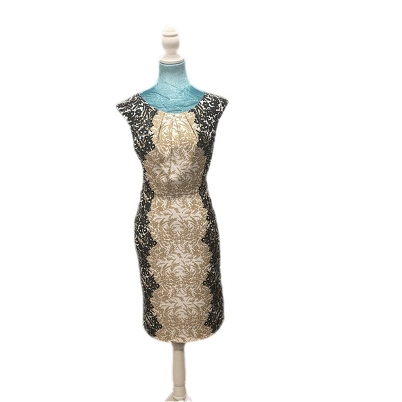 Discover Dress Barn Elegance: Classic Fit & Flare Dress - Picture 1 of 13